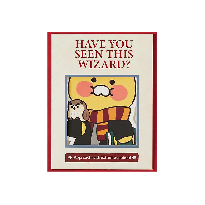 Kakao Friends X Harry Potter Card (Choonsik)