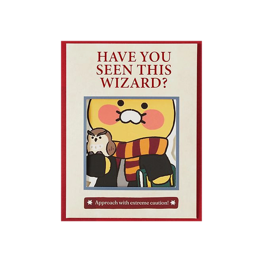 Kakao Friends X Harry Potter Card (Choonsik)