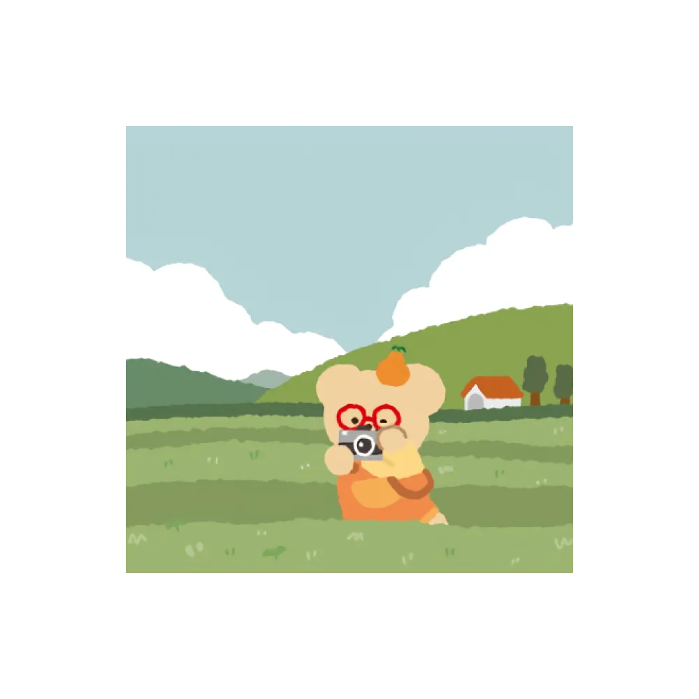 Teteum Friends Love Jeju Postcards