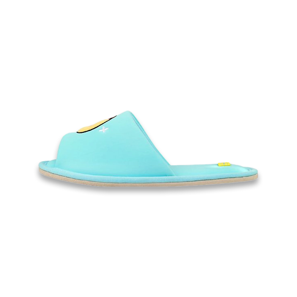 Kakao Friends Choonsik Cooling Slipper