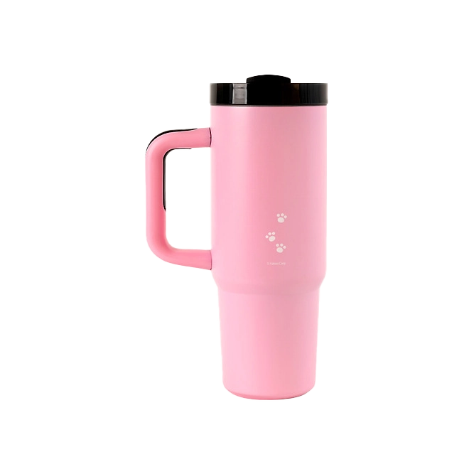 Kakao Friends Choonsik Daily Grip Tumbler 887ml